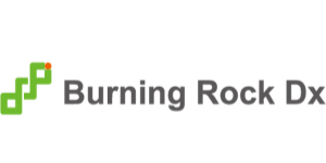 55355 - BurningRock - logo2