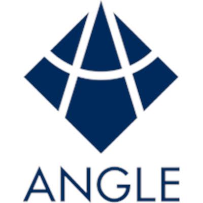 ANGLE-logo